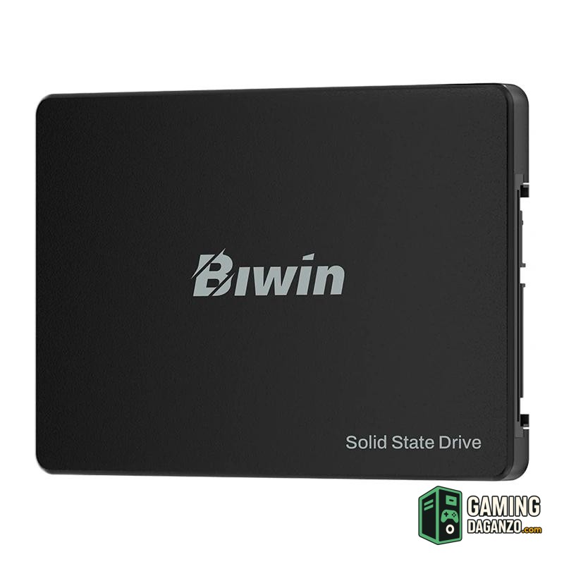 Biwin M100 SSD 1TB 2.5" SATA3-Almacenamiento interno-1 Gamingdaganzo.com