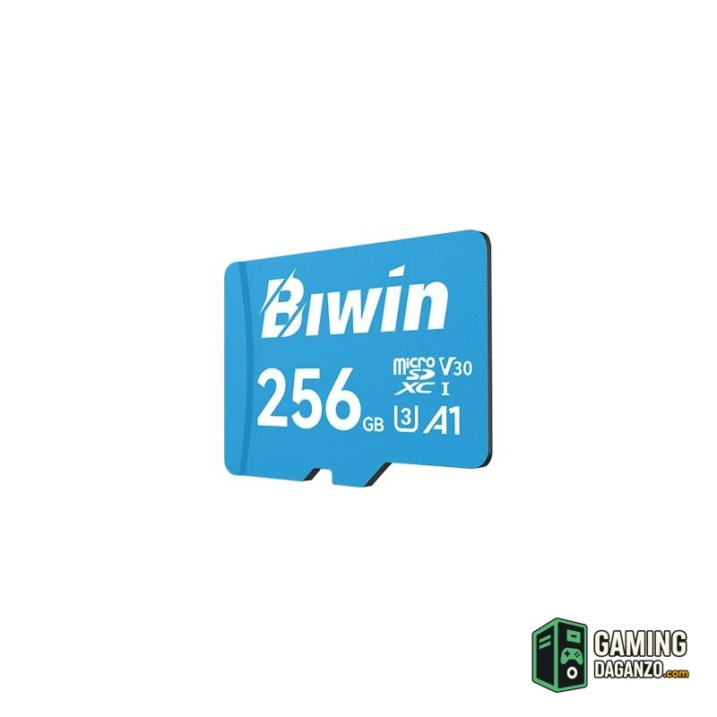 Biwin MS100 microSDXC UHS-1 256GB C10 U3 V30 A1-Tarjetas memoria-1 Gamingdaganzo.com