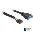 Delock Cable USB 2.0 Hembra/ USB 3.0 Macho-Accesorios PC y TPV Gamingdaganzo.com