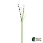 Gembird Cable Red Cat.6 U/UTP 305m Gris-Accesorios Redes Gamingdaganzo.com