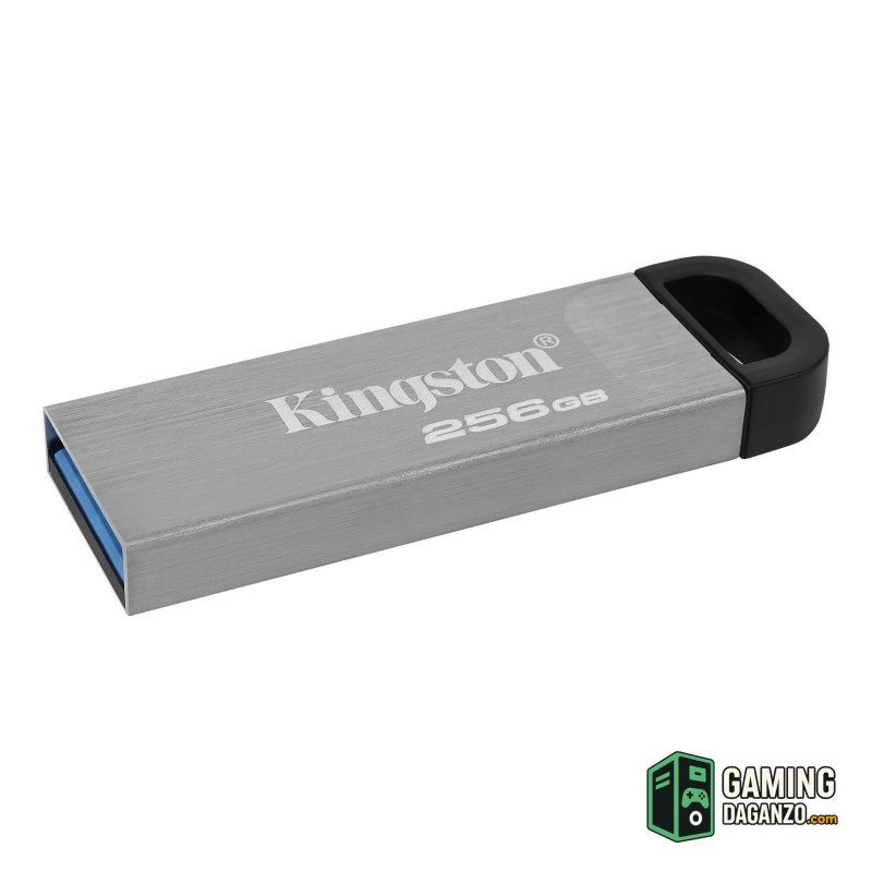 Kingston DataTraveler DTKN 256GB USB 3.2 Gen1 Plat-Almacenamiento externo-1 Gamingdaganzo.com