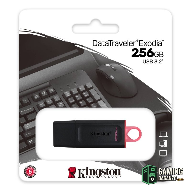 Kingston DataTraveler DTX 256GB USB 3.2 Gen1 Negro-Almacenamiento externo-1 Gamingdaganzo.com