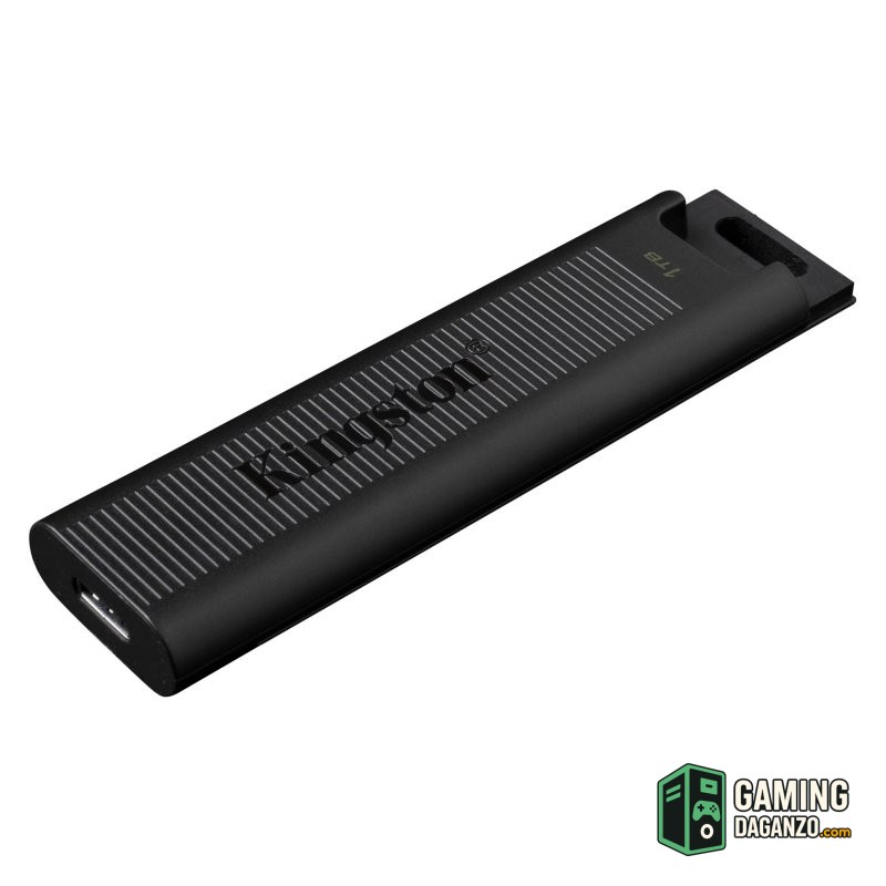Kingston DataTraveler MAX 1TB USB-C 3.2 Gen2-Almacenamiento externo-1 Gamingdaganzo.com