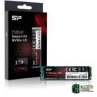 SP Ace A80 SSD NVMe 1TB-Almacenamiento interno-1 Gamingdaganzo.com